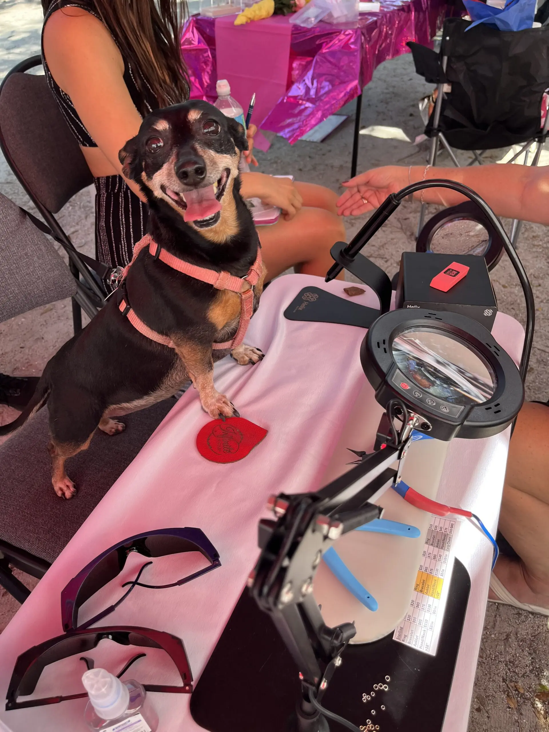 Doggy at table